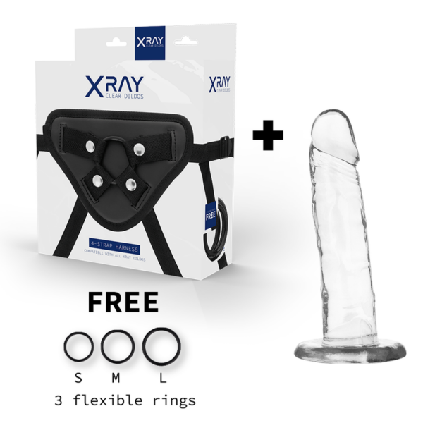 Xray arn?s + dildo transparente 18cm x 4cm