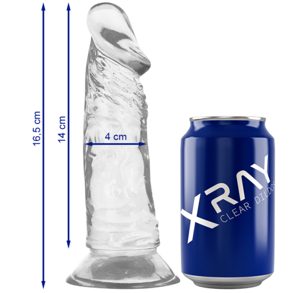 Xray arn?s + dildo transparente 16.5cm x 4cm