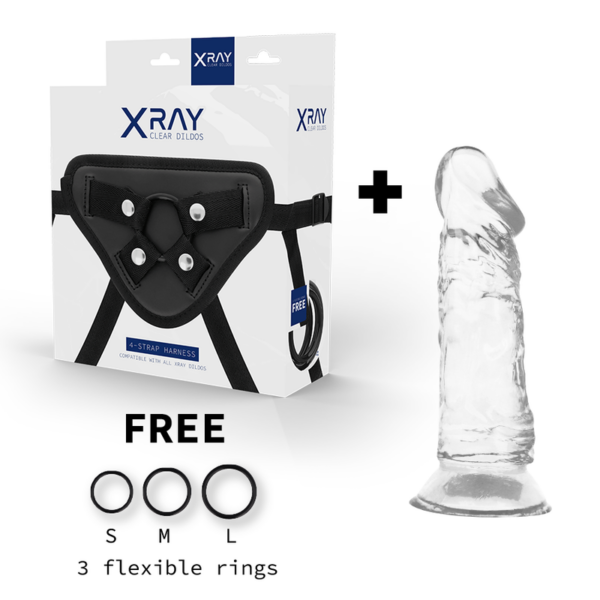 Xray arn?s + dildo transparente 16.5cm x 4cm