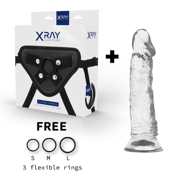 Xray arn?s + dildo transparente 19 cm x 4cm